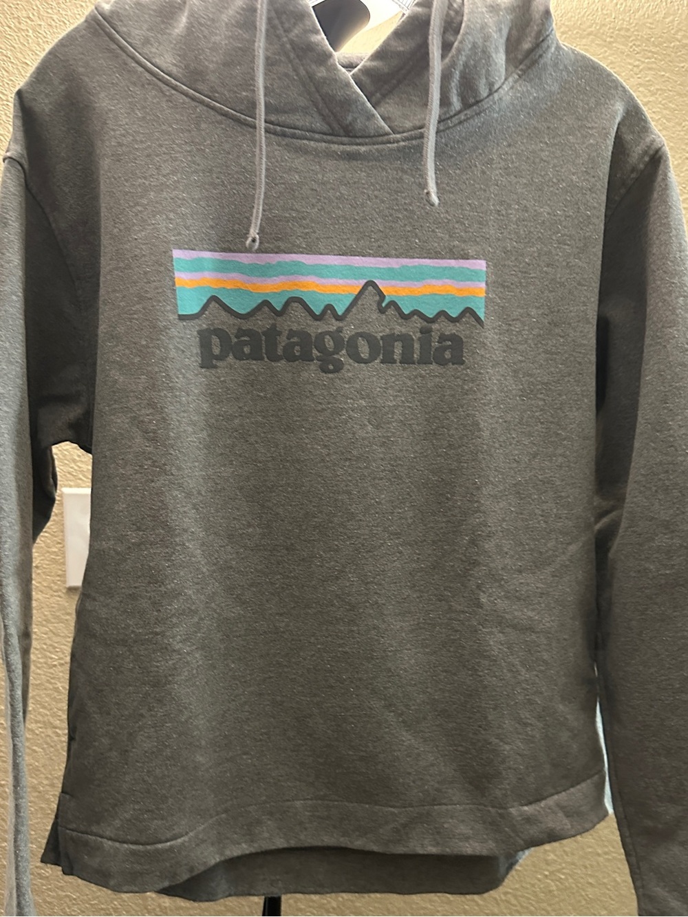 Patagonia Gray Pullover Hoodie with Multicolor Stripe Logo